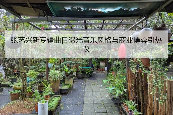 张艺兴新专辑曲目曝光音乐风格与商业博弈引热议