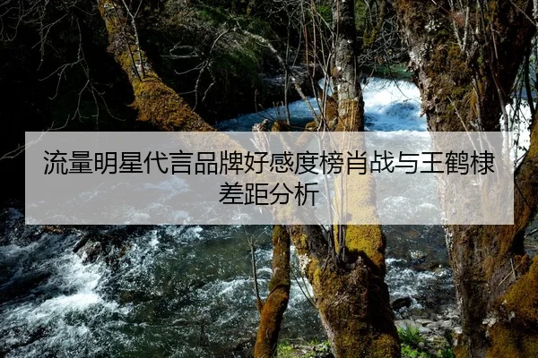 流量明星代言品牌好感度榜肖战与王鹤棣差距分析